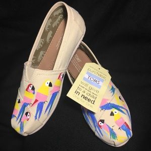 Haiti Collective TOMS.